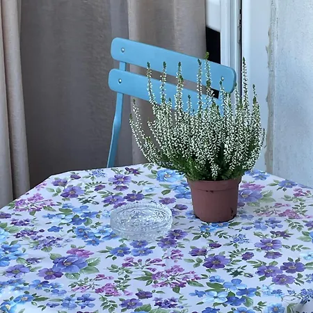 דירה Comfy & Cozy - Parking בלגרד