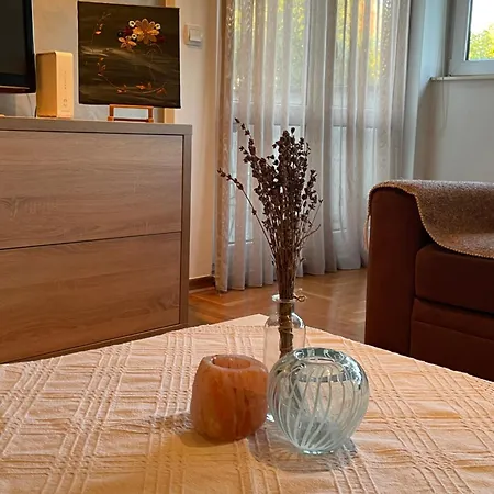 Apartment Comfy & Cozy - Parking Belgrade
